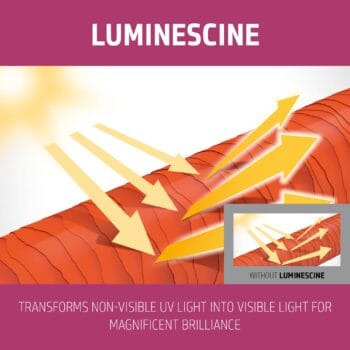 Goldwell Dualsenses Color Extra Rich Brilliance Conditioner 1000ml Halo Hair & Skin - rosehipskincare.com.au